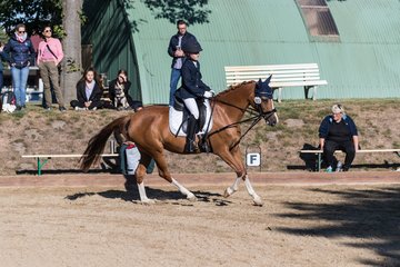 Bild 63 - Pony Akademie Turnier